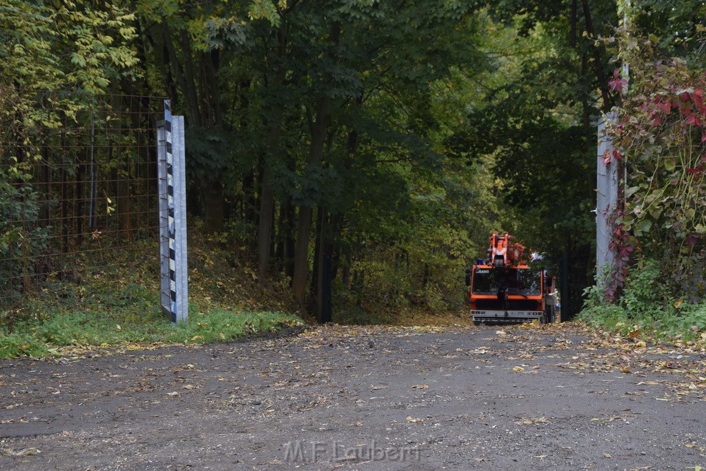 Einsatz BF Koeln PKW im See Koeln Esch P236.JPG - Miklos Laubert